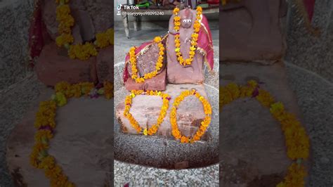 Shri Sai Gift And Flowers